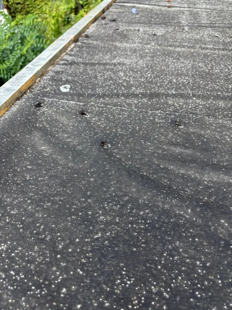 Alte Dachpappe am Gartenhaus mit Nagellöchern und Riss am Rand
